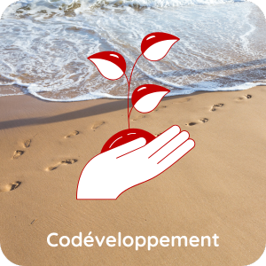 Mes prestations en Codéveloppement